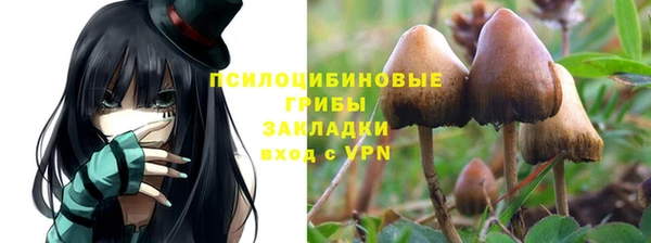 кокс Баксан
