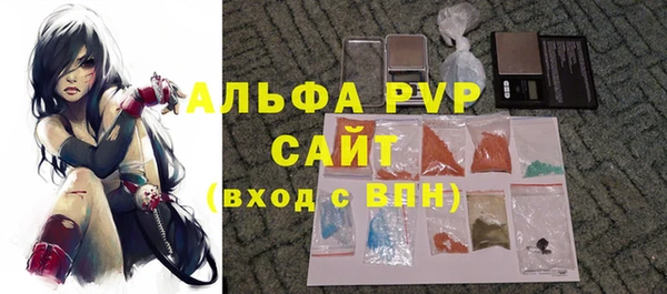 прущие грибы Беломорск