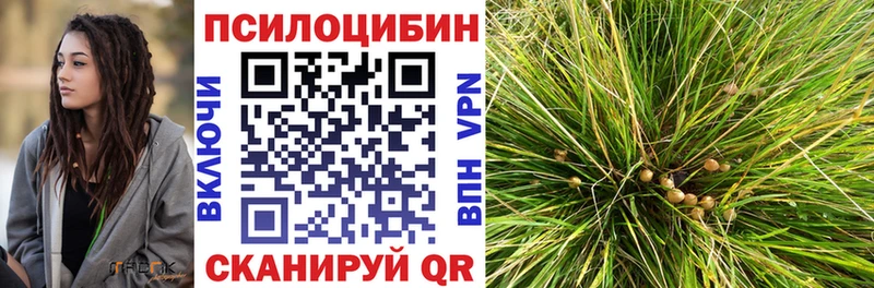 Псилоцибиновые грибы GOLDEN TEACHER  Верея 